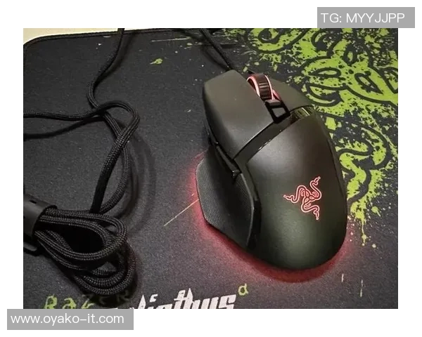 雷蛇赞助比赛-雷蛇全力赞助电子竞技大赛，助力选手展现巅峰实力-雷蛇赞助比赛